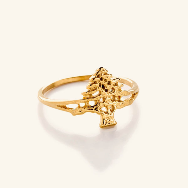 Cedar of Lebanon Ring - Nominal